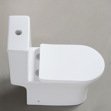 Унитаз-компакт VORTEX VX31126DP